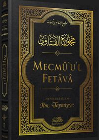 Mecmû'u'l-Fetava (25. Cilt)