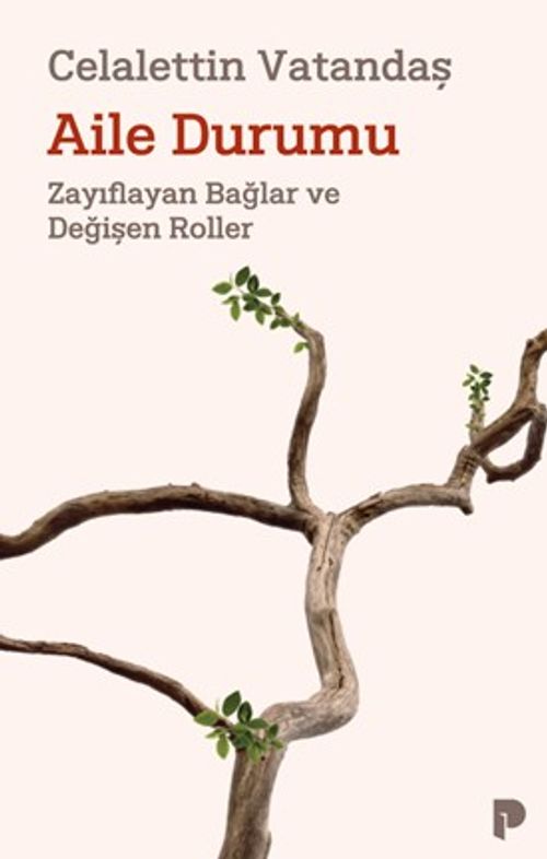 Aile Durumu & Zayıflayan Bağlar ve Değişen Roller