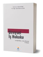 Bireysel İş Hukuku
