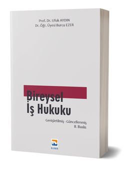 Bireysel İş Hukuku