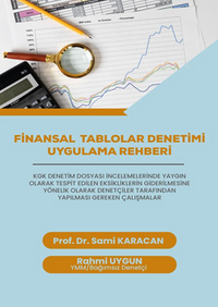 Finansal Tablolar Denetimi Uygulama Rehberi