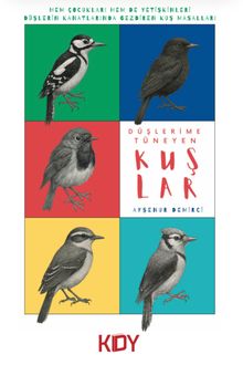 Düşlerime Tüneyen Kuşlar 