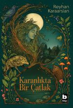 Karanlıkta Bir Çatlak