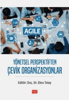 Yönetsel Perspektiften Çevik Organizasyonlar