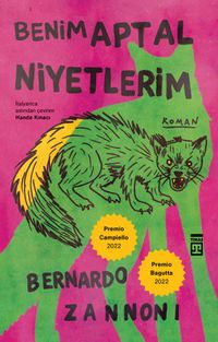 Benim Aptal Niyetlerim