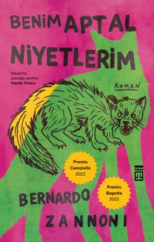 Benim Aptal Niyetlerim