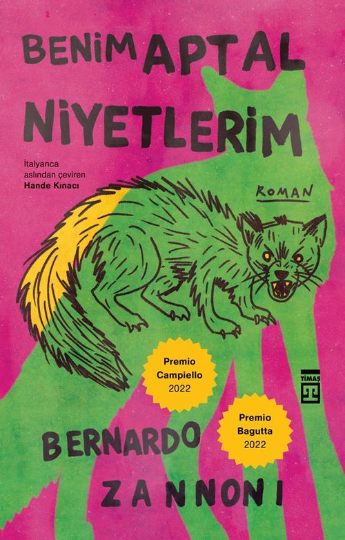 Benim Aptal Niyetlerim