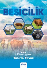 Besicilik
