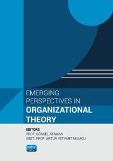 Emerging Perspectives in Organizational Theory