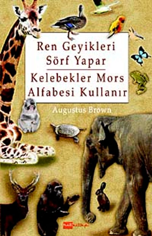Ren Geyikleri Sörf Yapar Kelebekler Mors Alfabesi Kullanır