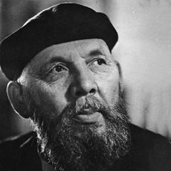  Frans Eemil Sillanpaa