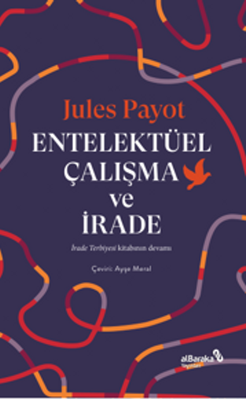 Entelektüel Çalışma ve İrade
