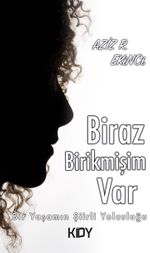 Biraz Birikmişim Var