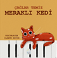 Meraklı Kedi