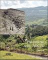 Palestine From Above 