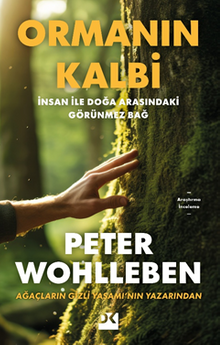 Ormanın Kalbi