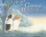 Güneşi Beklerken