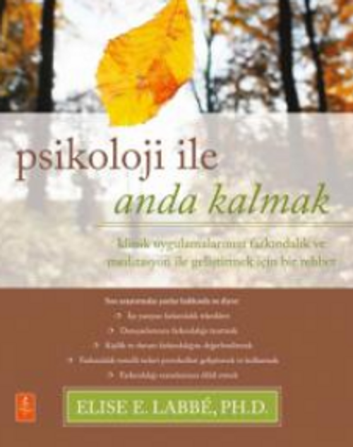 Psikolojiyle Anda Kalmak / Klinik Uygulamalarınızı Farkındalık ve Meditasyon ile Geliştirmek için Bir Rehber / Psychology Moment by Moment - A Guide to Enhancing Your Clinical Practice with Mindfulness