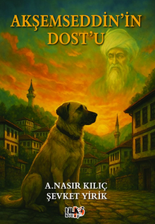 Akşemseddin'in Dostu