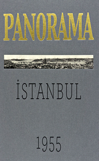 Bir İstanbul Panoraması 1955 (Gri) /  An Istanbul Panorama 1955