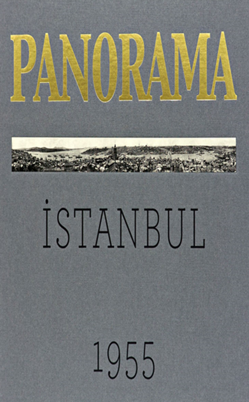 Bir İstanbul Panoraması 1955 (Gri) /  An Istanbul Panorama 1955