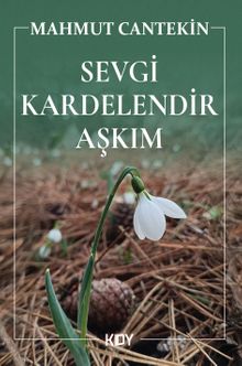Sevgi Kardelendir Aşkım