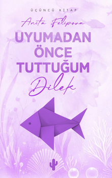 Uyumadan Önce Tuttuğum Dilek 3