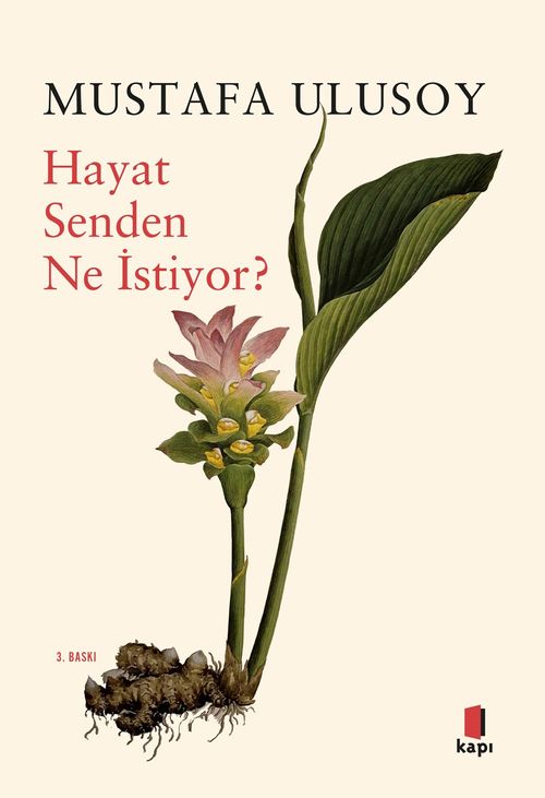 Hayat Senden Ne İstiyor?