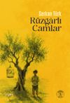 R&uuml;zgarlı Camlar