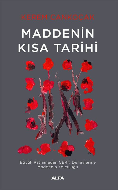 Maddenin  Kısa Tarihi