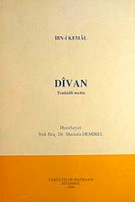 Divan / Tenkidli Metin / 10-H-52