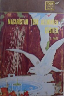 Macaristan Türk Aleminden Çizgiler (13-Z-69)