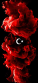 cengelkoyf1