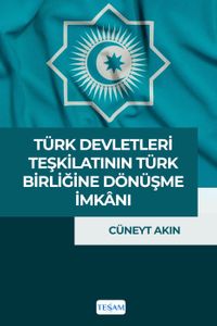 Türk Devletleri Teşkilatı’nın Türk Birliği’ne Dönüşme İmkanı