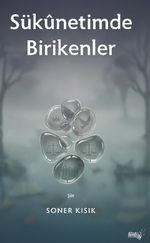 Sukunetimde Birikenler