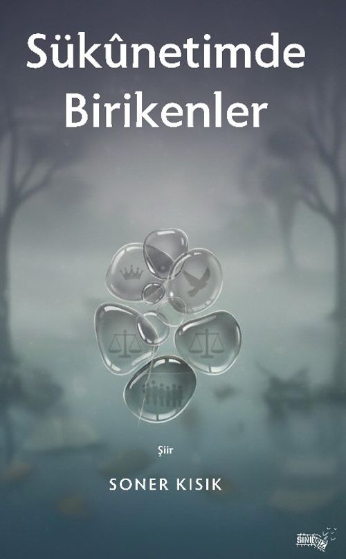 Sukunetimde Birikenler