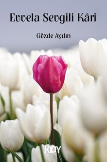 Evvela Sevgili Kari