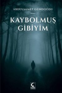 Kaybolmuş Gibiyim
