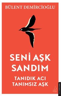 Seni Aşk Sandım