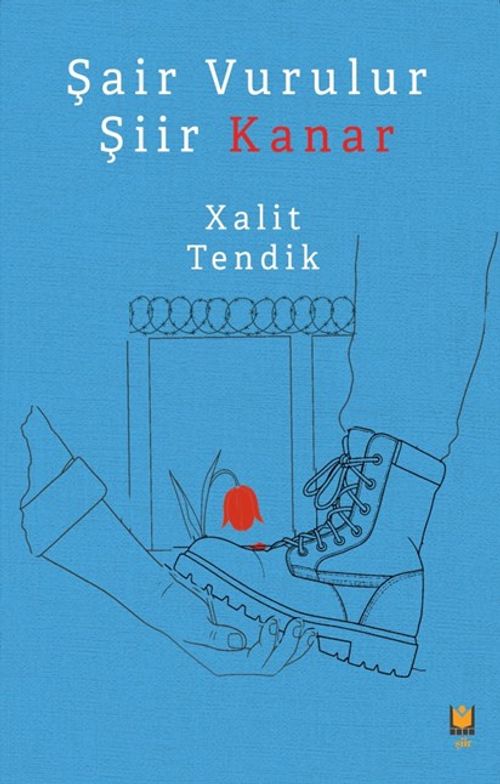 Şair Vurulur Şiir Kanar