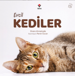 Evcil Kediler