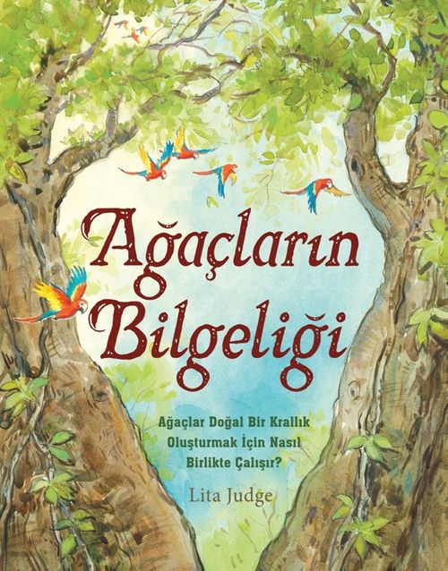 Ağaçların Bilgeliği