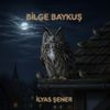 Bilge Baykuş