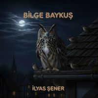 Bilge Baykuş