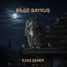 Bilge Baykuş