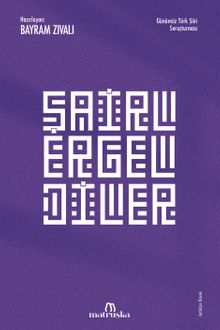 Şairler Geldiler & Günümüz Türk Şiiri Soruşturması