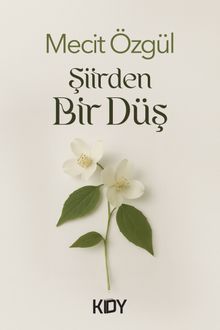 Şiirden Bir Düş