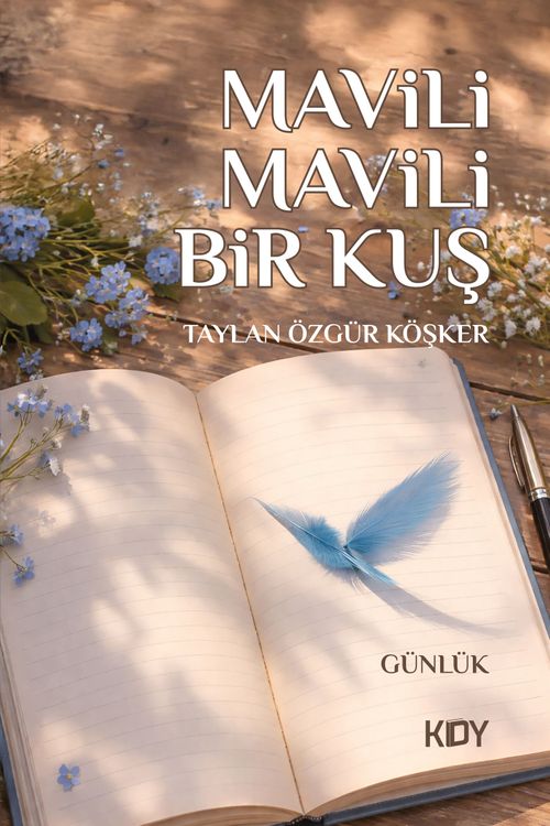 Mavili Mavili Bir Kuş