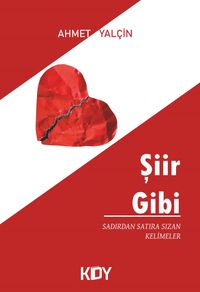 Şiir Gibi