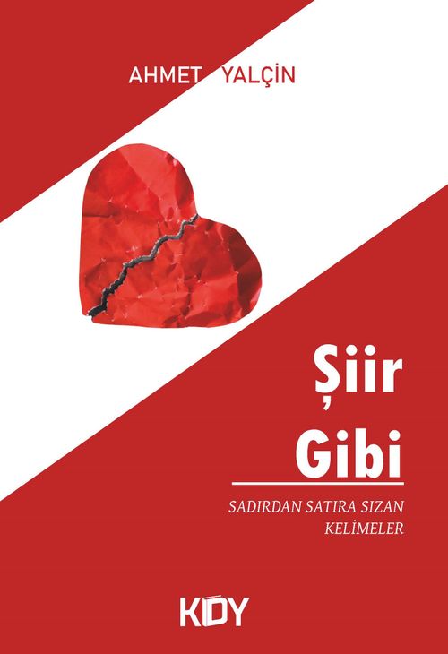 Şiir Gibi